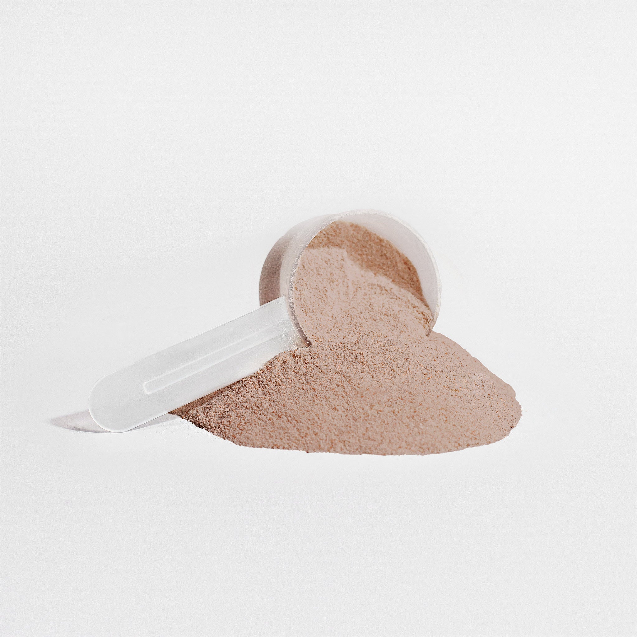 Tone Bloom Plant Protein (Chocolate)