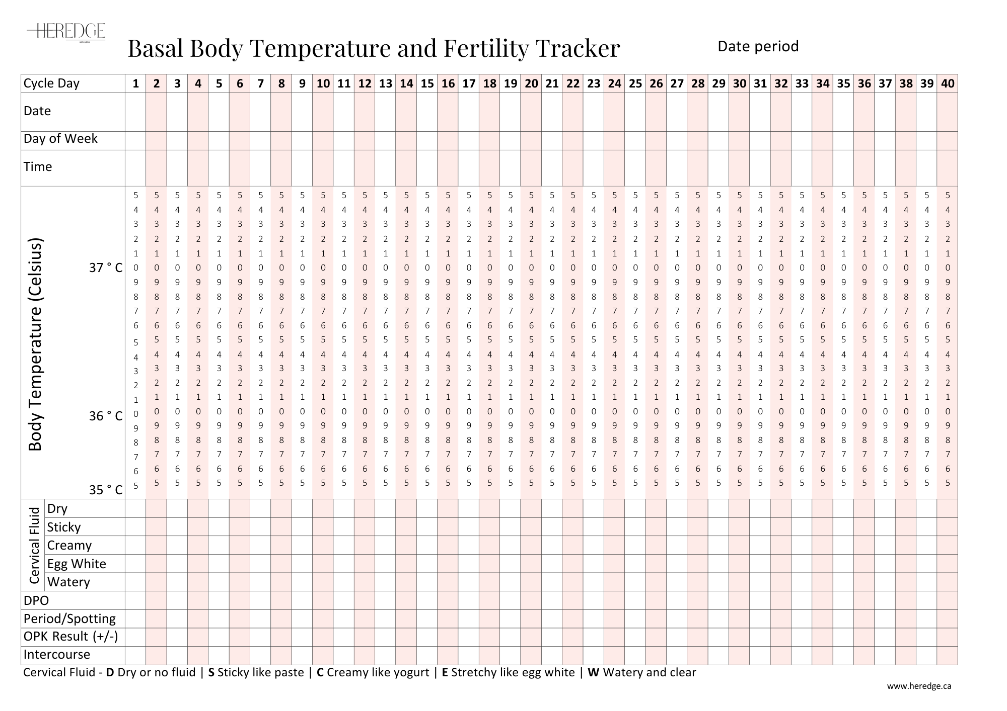 🎁 Basal Body Temperature and Fertility Tracker (100% off)